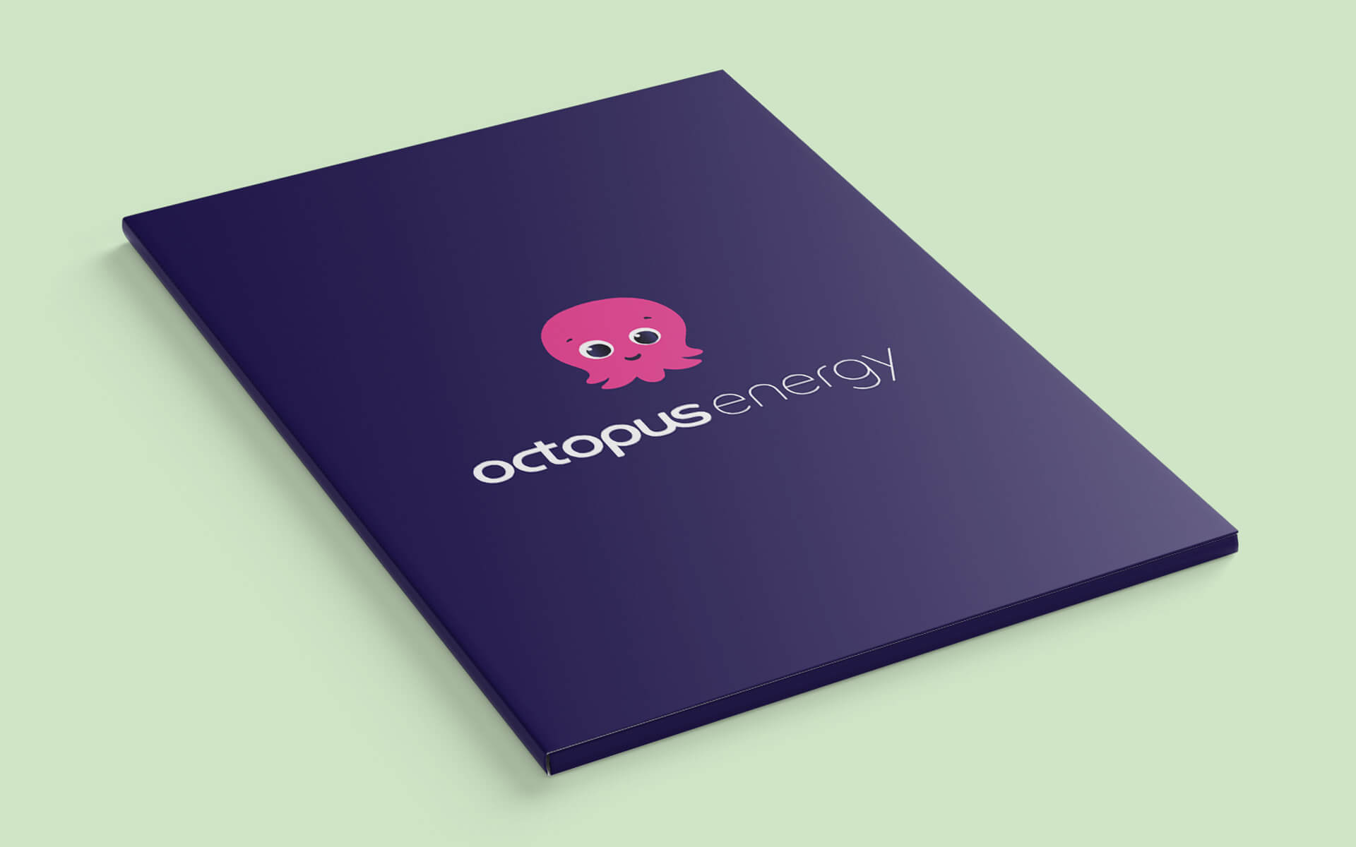 Octopus-Energy-Folders
