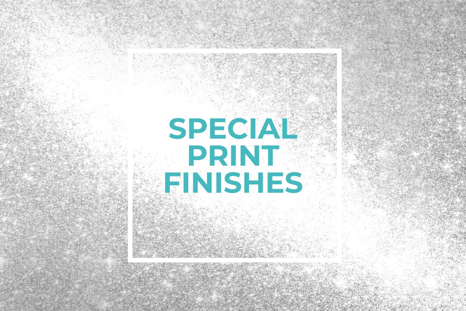specialist-finishes
