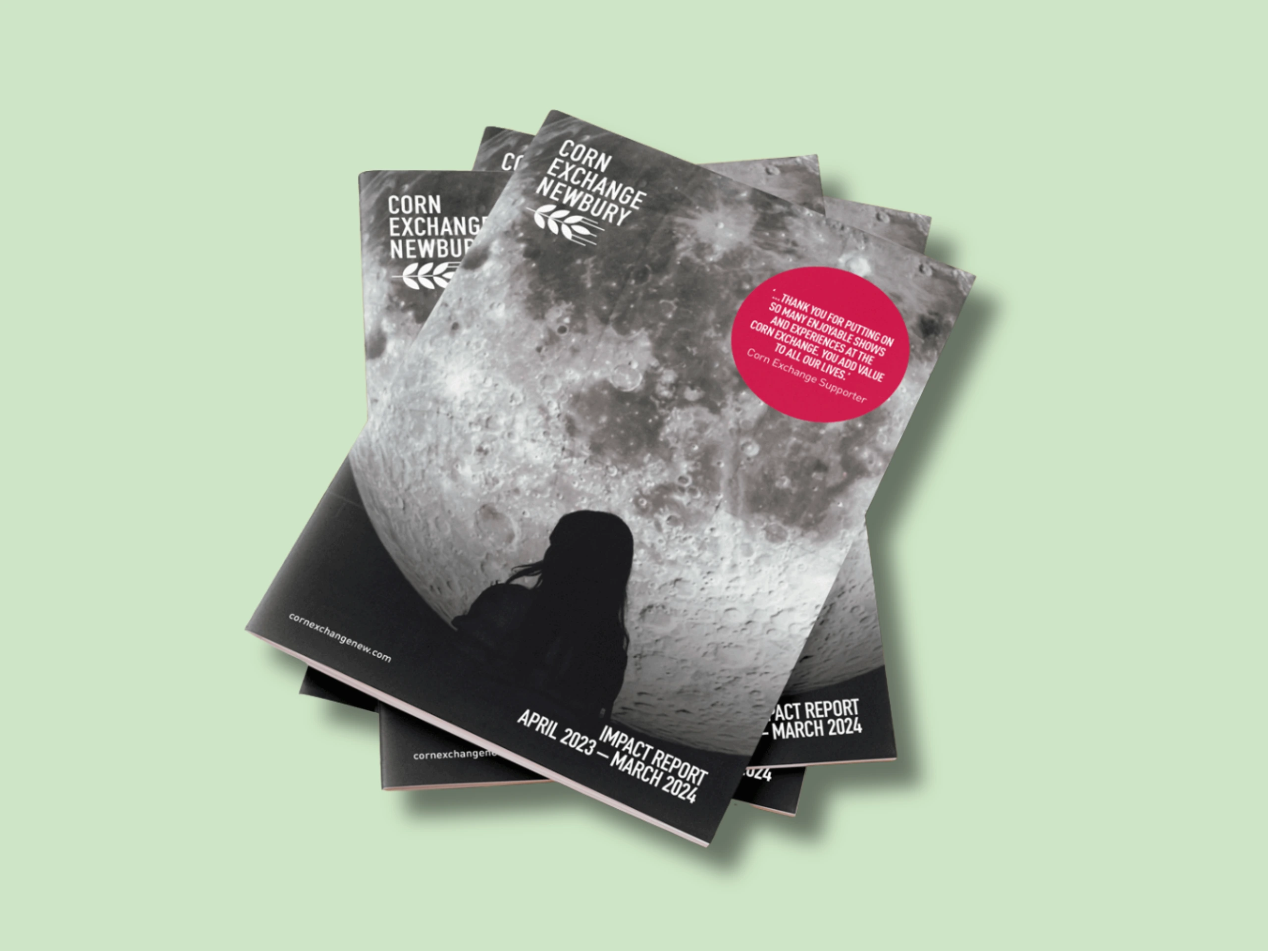 A mock-up showing the cover of an impact report.
